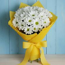 Букет цветов из:  Хризантемы в Ельдигино