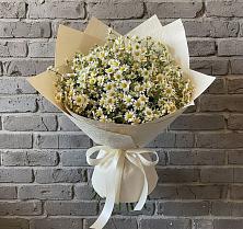 Букет цветов из:  Ромашки #REPLACE_PRED# Ельдигино