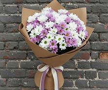 Букет цветов из:  Хризантемы в Ельдигино