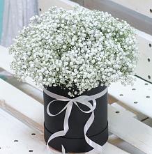 Цветочная композиция из Гипсофила в шляпной коробке #REPLACE_PRED# Ельдигино