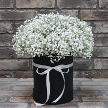 Цветочная композиция из Гипсофила в шляпной коробке в Ельдигино