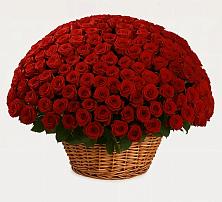 Премиум букет из: Розы #REPLACE_PRED# Ельдигино