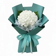 Букет цветов из:  Гортензия в Ельдигино